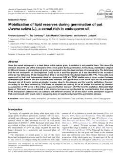 Mobilization of lipid reserves during germination of oat (Avena sativa