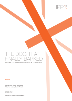 The dog ThaT finally barked