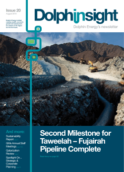 Second Milestone for Taweelah &ndash; Fujairah