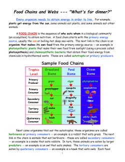 Food Chains and Webs --- "What`s for dinner?"