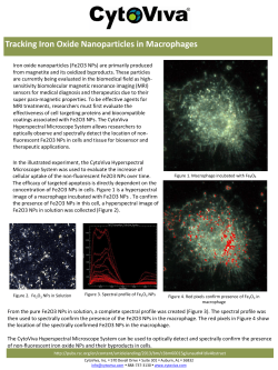 Tracking Iron Oxide Nanoparticles in Macrophages