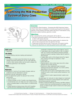 4H1666 Mammary Gland Anatomy Activity