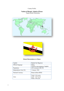 Brunei Country Profile