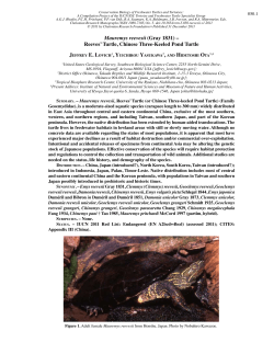 pdf - IUCN Tortoise and Freshwater Turtle Specialist Group