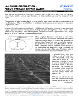 Langmuir Circulation - Foamy Streaks on the Water