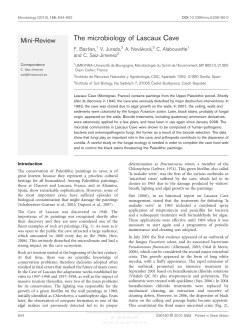 The microbiology of Lascaux Cave