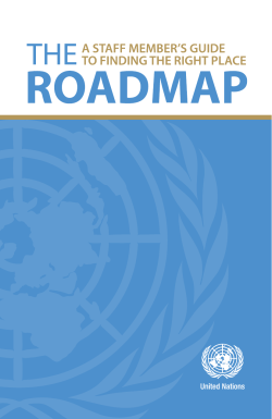 Roadmap - the United Nations