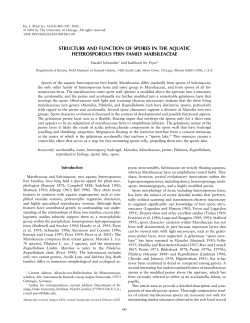 structure and function of spores - Kathleen Pryer
