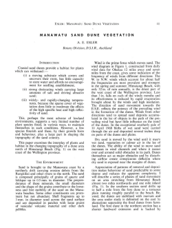 MANAWATU SAND DUNE VEGETATION