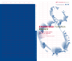 Advisory report no. 46 English