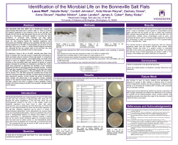 Identification of the Microbial Life on the Bonneville Salt Flats