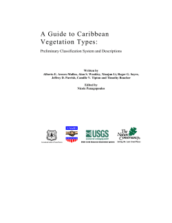 A Guide to Caribbean Vegetation Types