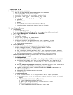 The Protists (Ch. 28)