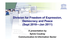 Division for Freedom of Expression, Democracy and Peace