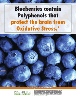 Blueberries contain Polyphenols that protect the