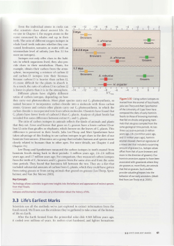 3.3 Life`s Earliest Marks
