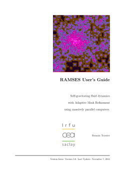 RAMSES User`s Guide
