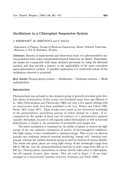 Oscillations in a Chloroplast Suspension System