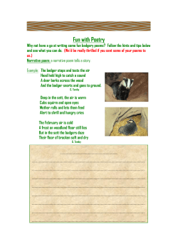 Fun with Poetry - durhamcountybadgers.org.uk