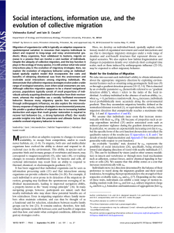 Social interactions, information use, and the evolution of collective