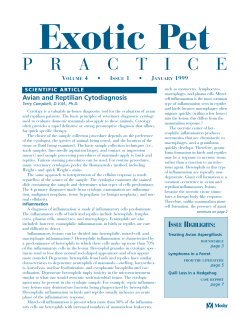 practice - Association of Exotic Mammal Veterinarians