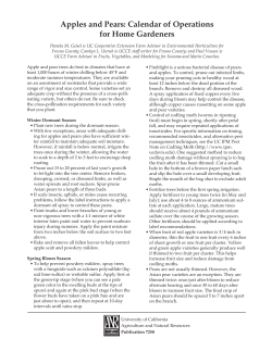 Apples and Pears: Calendar of Operations for Home Gardeners