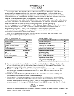 ENV SCI15 Activity 7 Carbon Budget