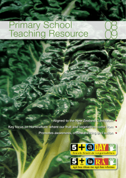 Primary School Teaching Resource