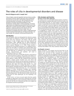 The roles of cilia in developmental disorders and disease