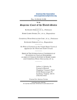13-354-13-356 Brief for the International Conference of Evangelical