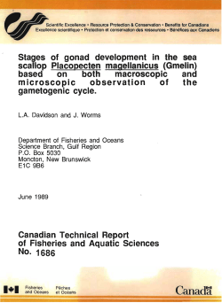 C d&middot;&middot;&middot;