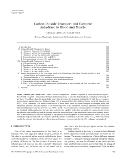 Carbon Dioxide Transport and Carbonic Anhydrase in Blood and