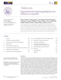 Opportunities for improving phosphorus