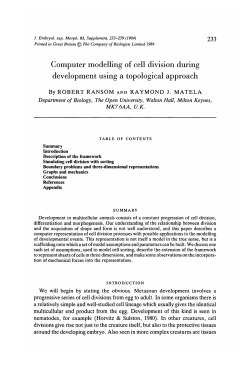 Computer modelling of cell division during development using a