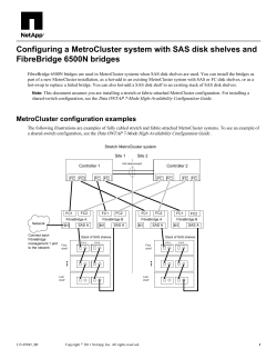 Configuring a MetroCluster system with SAS disk shelves