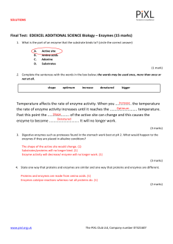 Final Test: EDEXCEL ADDITIONAL SCIENCE Biology &ndash; Enzymes