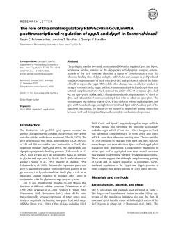 The role of the small regulatory RNA GcvB in GcvB/mRNA