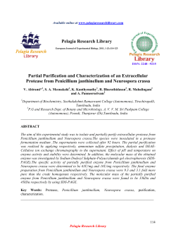 Partial Purification and Characterization of an Extracellular Protease