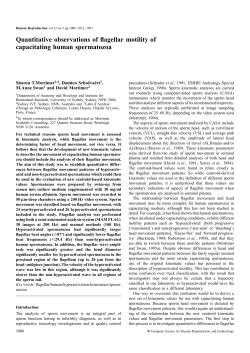Quantitative observations of flagellar motility of capacitating human