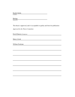 Zulick_Thesis_Formatted_FINAL