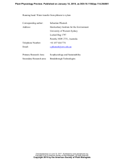 PHLOEM AS CAPACITOR-RADIAL TRANSFER OF WATER INTO
