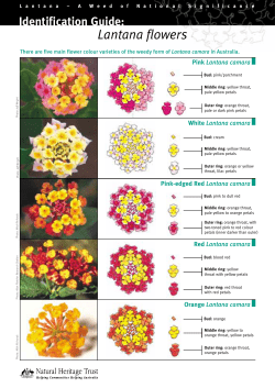 Identification guide