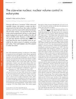 The size-wise nucleus: nuclear volume control in eukaryotes