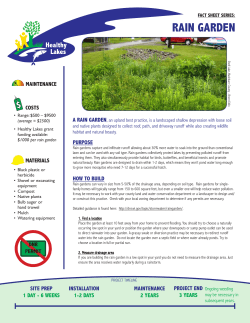 rain garden