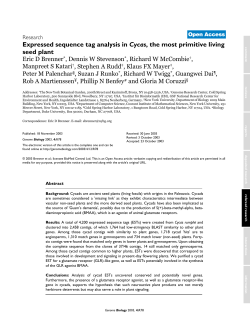 Expressed sequence tag analysis in Cycas, the most primitive living