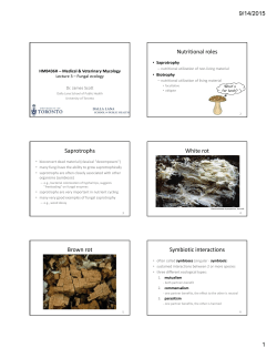 Nutritional roles Saprotrophs White rot Brown rot Symbiotic