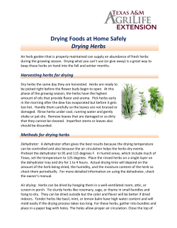 Drying Foods at Home Safely: Drying Herbs