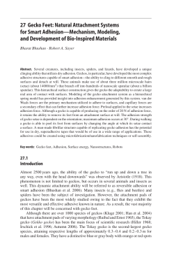 27 Gecko Feet: Natural Attachment Systems for Smart