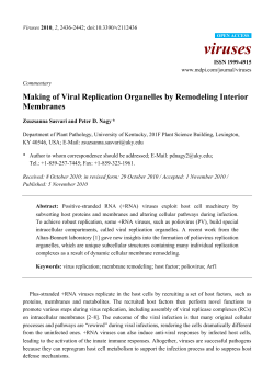 Making of Viral Replication Organelles by Remodeling Interior