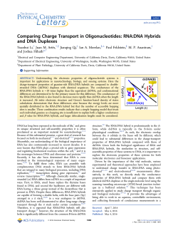 Comparing Charge Transport in Oligonucleotides: RNA:DNA